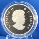 Canada 2013 Canadian Holiday Season - 1/2 Oz.  Fine Silver $10 Matte Proof Coin Coins: Canada photo 3