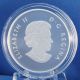 Canada 2013 Canadian Holiday Season - 1/2 Oz.  Fine Silver $10 Matte Proof Coin Coins: Canada photo 4
