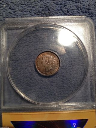1894 5c Canada 5 Cent Silver Coin Graded Xf 45 By Anacs photo