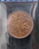 Canada 1939 Small Cent Iccs Ms 65 Red Coins: Canada photo 1