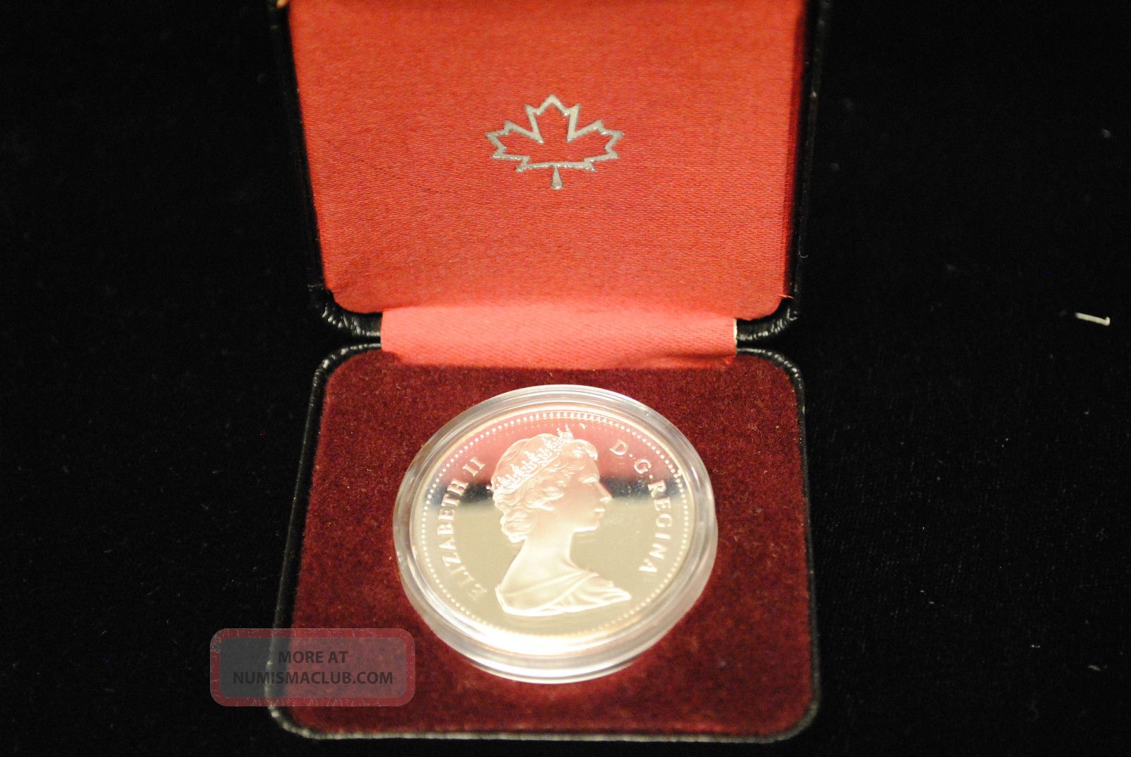 1982 Canadian Silver Bu / Proof Dollar Coin Regina Steer Centennial Bullion 1982 Canadian Silver Bu / Proof Dollar Coin Regina Steer Centennial Bullion