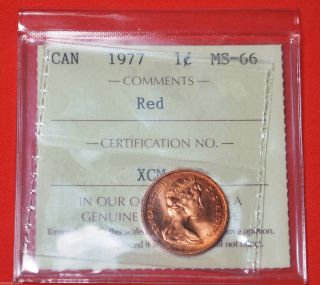 Canada 1977 1 Cent Iccs - Ms - 66 Red - Gem - Coin photo