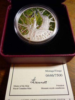 Canada 9999 Pure Silver - Canadian Maple Canopy Coin (spring) (2013) photo