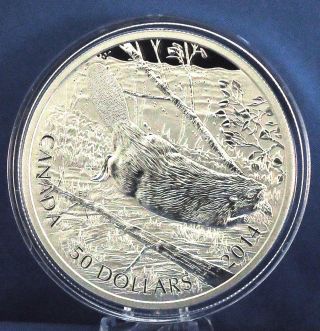 Canada 2014 Swimming Beaver - 5 Oz.  Fine Silver Coin - Mintage: 1,  500 photo