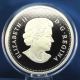 Canada 2014 Swimming Beaver - 5 Oz.  Fine Silver Coin - Mintage: 1,  500 Coins: Canada photo 3