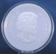 Canada 2014 Swimming Beaver - 5 Oz.  Fine Silver Coin - Mintage: 1,  500 Coins: Canada photo 5