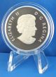 2013 Caribou 1/2 Oz Fine Silver $10 Proof Coin,  Eighth Coin In “o Canada” Series Coins: Canada photo 3