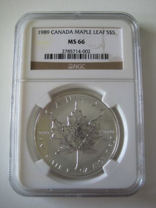 1989 Canada $5 Silver Maple Leaf - Bullion Issue - Ngc Ms66 photo
