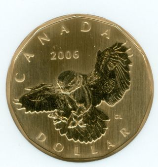 2006 Canada Loon Owl $1 Dollar Ngc Sp - 67 Rare Low Mintage photo