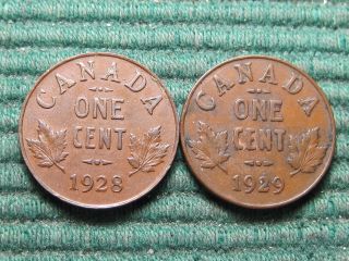 Canada 1928 Ef And 1929 (hi - 9) ? Small Cents photo