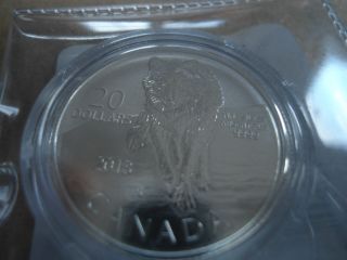 $20 For $20 Coin 9999 Silver 2013 Wolf photo