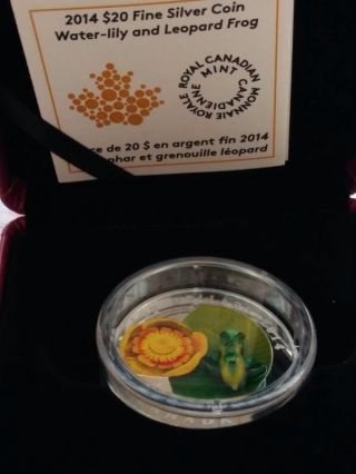 2014 Canada $20 Murano Venetian Glass Frog 1 Oz Silver Coin Colored photo