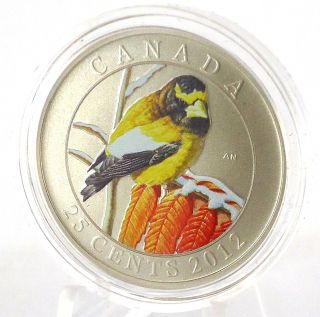 2012 25 - Cent Evening Grosbeak Full Color Commemorative Coin - Only A Few Left photo