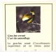 2012 25 - Cent Evening Grosbeak Full Color Commemorative Coin - Only A Few Left Coins: Canada photo 8