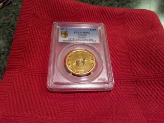 Pcgs Ms67and Ms66 2011 1oz Gold Canadian Mountie $200 Coin photo