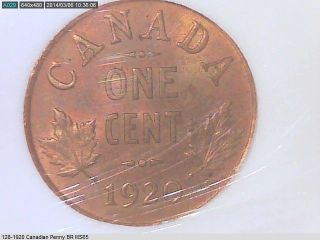 1920 Canada Small Cent Ms - 65 Br photo