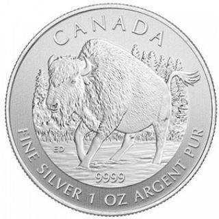 2013 Canada Wildlife Series Wood Bison 1 Oz.  9999 Silver Coin In Capsule photo