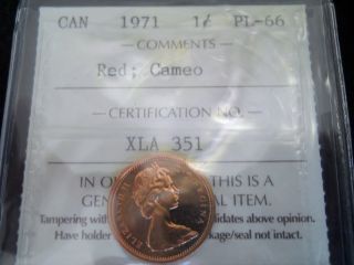 1971 Canada Small Cent.  Iccs Certified Pl - 66 Cameo.  Rare photo