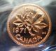 1971 Canada Small Cent.  Iccs Certified Pl - 66 Cameo.  Rare Coins: Canada photo 1