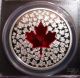 2013 Canada $20 Maple Leaf Impression Pcgs Pr70 Colorized Red Enamel Pf70 Coins: Canada photo 1