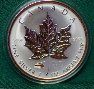 2005 Canada Silver Maple Leaf - Ve Day - Victory In Europe - Very Low Mintage photo
