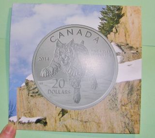 2014 Canadian Coin - 