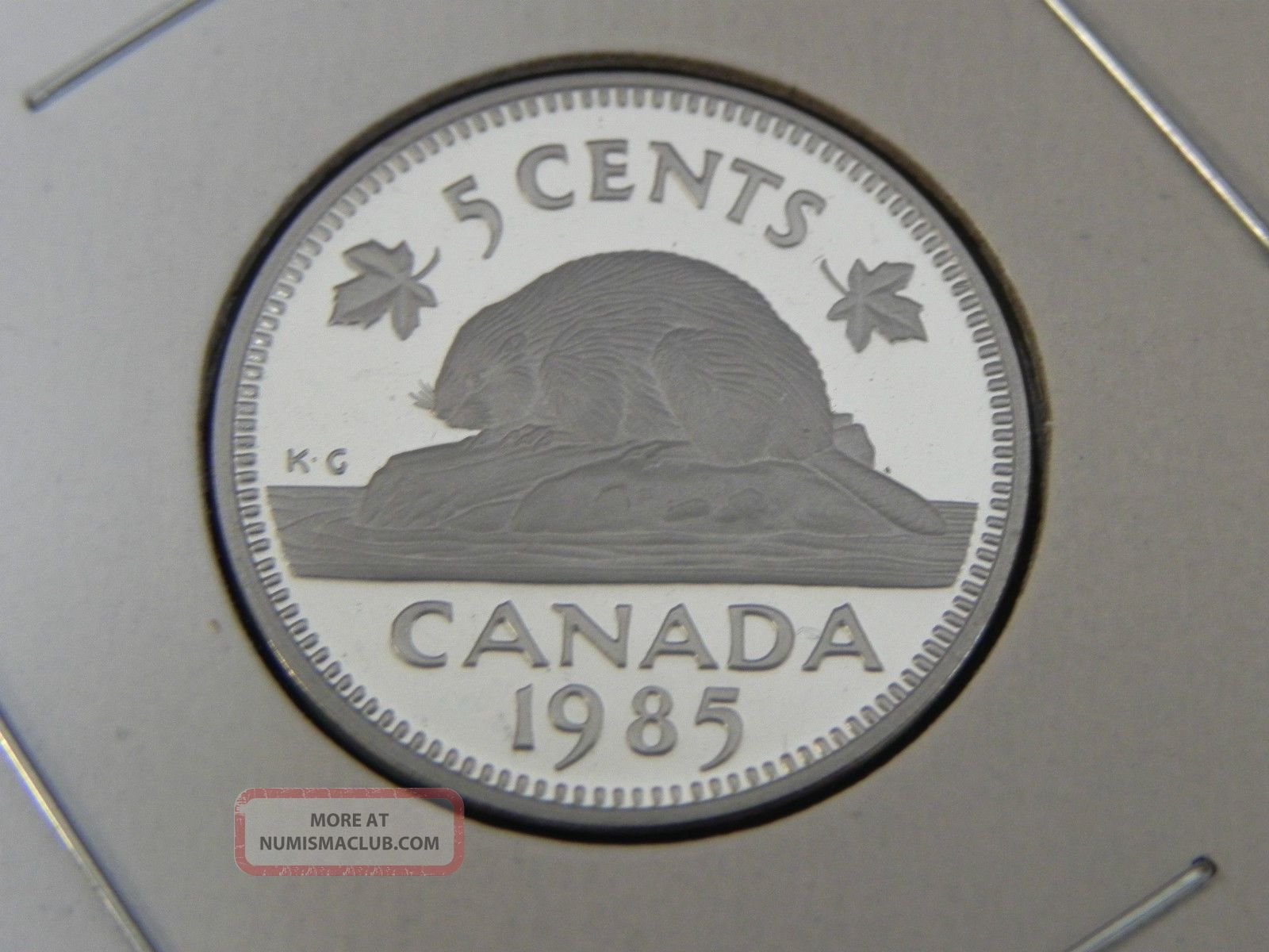 1985 Proof Unc Canadian Canada Beaver Nickel Five 5 Cent 1985-proof-unc-canadian-canada-beaver-nickel-five-5-cent