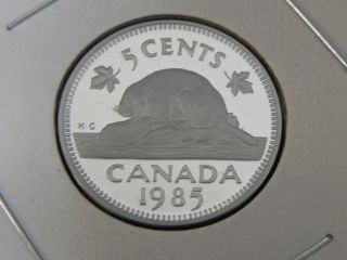 1985 Proof Unc Canadian Canada Beaver Nickel Five 5 Cent photo