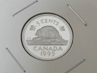 1995 Proof Canadian Canada Beaver Nickel Five 5 Cent photo