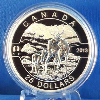 2013 Caribou 1 Oz.  Fine Silver $25 Proof Coin “o Canada” Series Only 8500 Minted photo