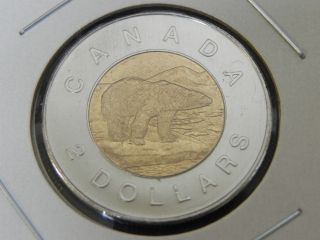 2006 Ms Unc Canadian Canada Polar Bear Maple Leaf Toonie Two $2 Dollar photo