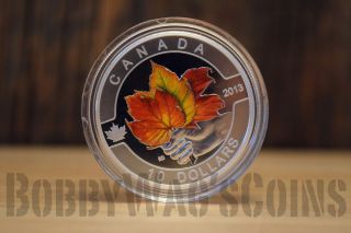 1/2 Oz.  Fine Silver Coin - Maple Leaf (2013) photo