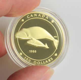 Canadian $100 Gold Coin 14k Gold & Silver 1988 Whale Coin photo
