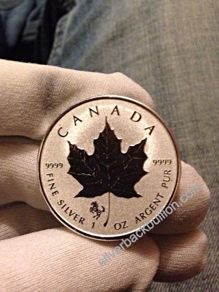 1 Oz 2014 Silver Canadian Maple Leaf Year Of The Horse Privy Coin photo