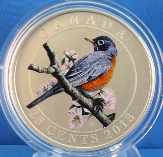 2013 American Robin 25 Cent Color Specimen Coin Birds Of Canada photo