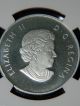 2013 Canada $10 O Canada Niagara Falls Proof Silver Coin Ngc Pf70 Matte Fr Coins: Canada photo 4