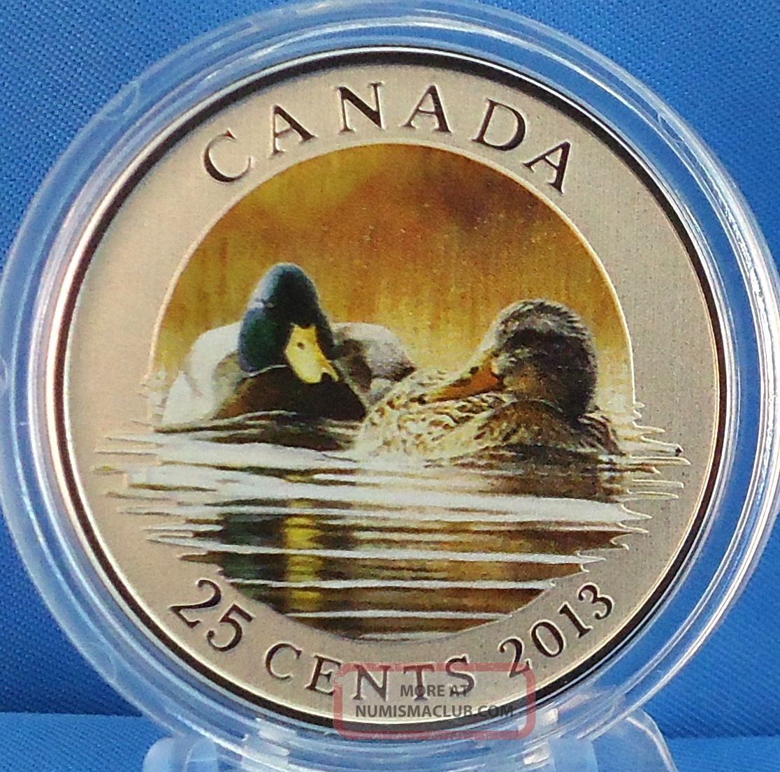 2013 Mallard Duck Mating Pair Full Color Over - Sized Quarter Specimen Coin 17,  500 Coins: Canada photo