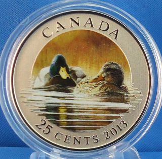 2013 Mallard Duck Mating Pair Full Color Over - Sized Quarter Specimen Coin 17,  500 photo