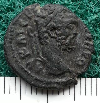 Ancient Roman Colonial Bronze Coin,  Circa 200 - 300 Ad.  To Identify,  Snake On Rev. photo