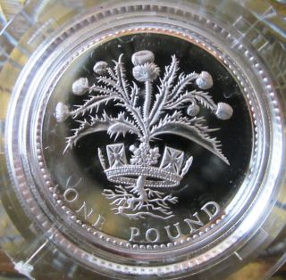 Great Britain 1984 Silver One Pound Proof Depicting The Scottish Thistle photo