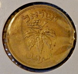 1949 Israel Je5709 Fifty Pruta Coin Ef/au W/o Pearl photo