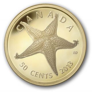 1/25 Oz Pure Gold Coin - Starfish - Mintage: 10000 (2013) 50 Cents photo