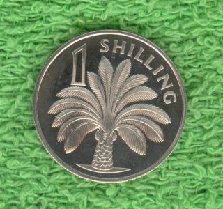 1966 The Gambia Oil Palm Gem Cameo Proof 1 Shilling Coin Km 4 photo