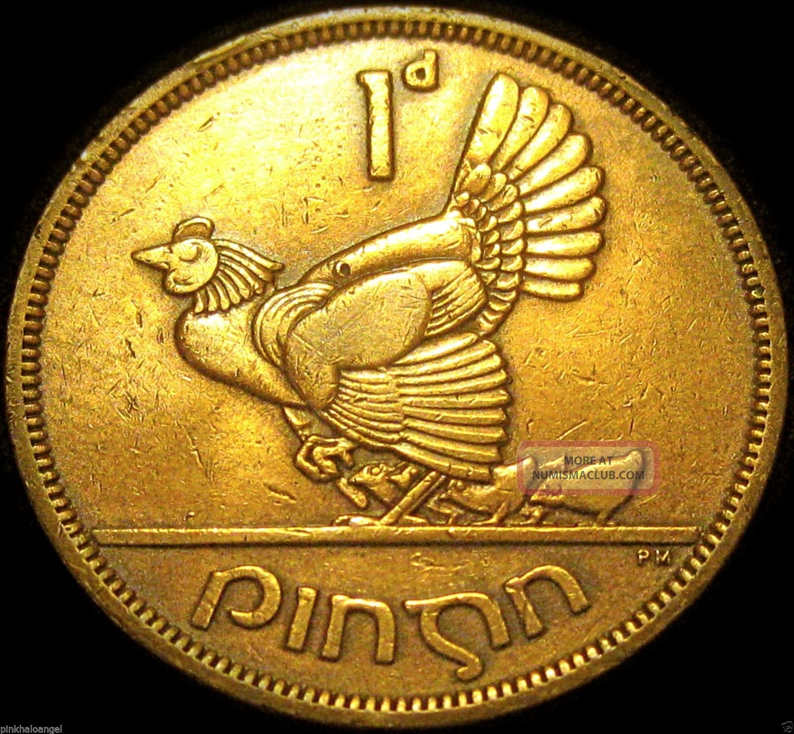 Hen With Chicks Ireland 1949 Penny Rare Large Irish Coin hen-with-chicks-ireland-1949-penny-rare-large-irish-coin