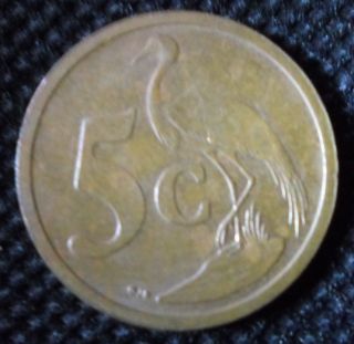 M35 Coin 5 Cents 2006 South Africa Borwa photo