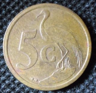 M43 Coin 5 Cents 2004 South Africa photo