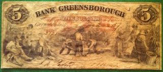 1857 Bank Of Greensborough Five - Dollar Note - Greensborough,  Ga photo