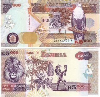 Zambia 5000 Kwacha P - 45d,  2008 Unc Banknote Africa photo