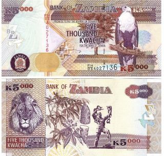 Zambia 5000 Kwacha P - 45e,  2009 Unc Banknote Africa photo