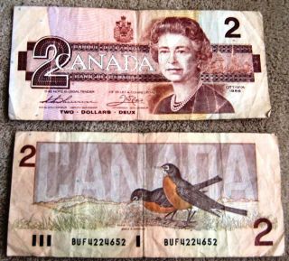 2 Canada $2 Bill Paper Money 1986 Banknote Queen Elizabeth & Bird Reverse Side photo